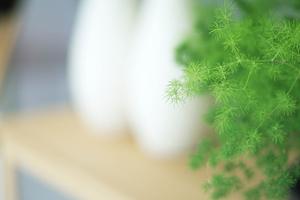 いろいろな木工教室のスタイルについて