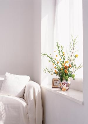 低価格でデザイン洗面台を提供している会社