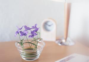 シンデレラになれるマリッジリングのあるお店