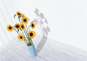 【2025年最新版】風呂ドア交換のポイントと失敗しないリフォーム方法