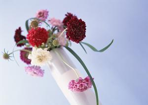 おしゃれな遮光カーテンを購入できるネットショップは