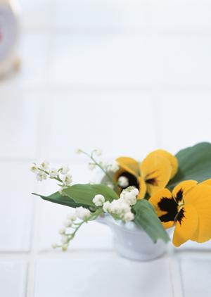 和泉市で理想の住まいを実現!リノベーション成功のための完全ガイド